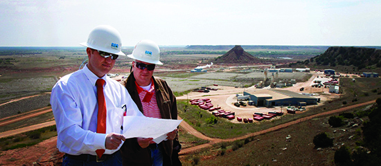 staff inspecting environmental site